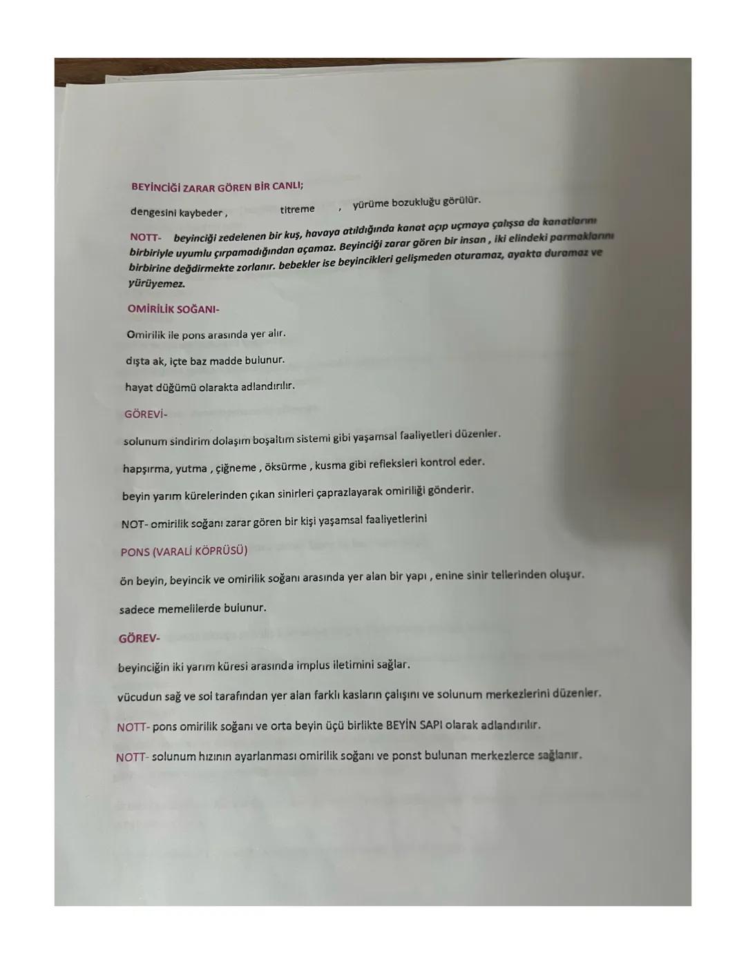 İNSAN FİZYOLOJİSİ