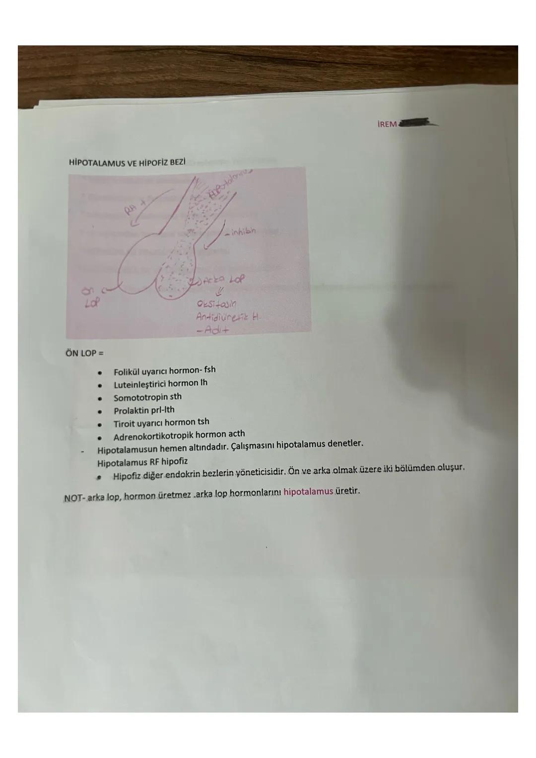 BEYİNCİĞİ ZARAR GÖREN BİR CANLI;
dengesini kaybeder,
titreme
yürüme bozukluğu görülür.
NOTT- beyinciği zedelenen bir kuş, havaya atıldığında