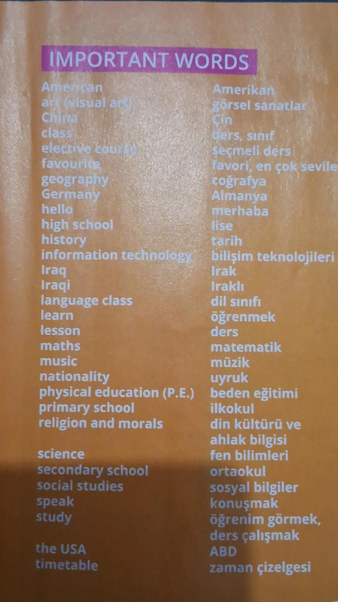 IMPORTANT WORDS
Amerikan
American
ar visual ar
görsel sanatlar
China
Cin
class
elective cour
favourite
geography
ders, sinif
Seçmeli ders
fa