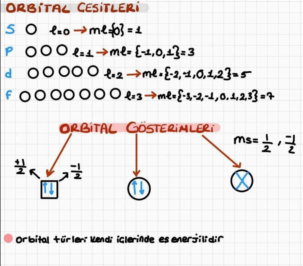 Atamun Kuantum
Modeli
Bas Kuantum Sayısı (n)
Açısal (ikincil/yan) momentum Kuantum Sayısı (1)
Manyetik Kuantum Sayısı (me)
Spin Kuantum Sayı