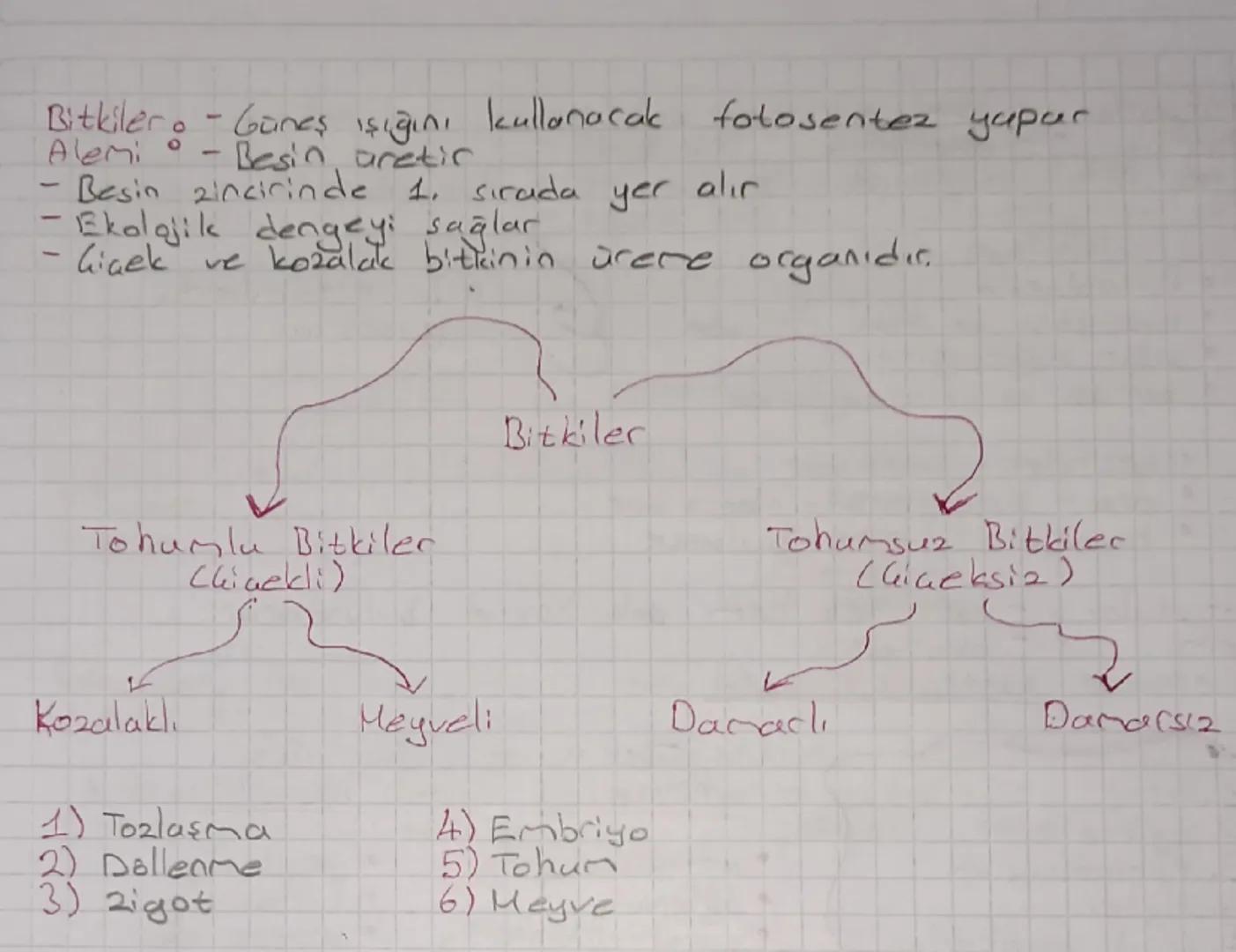 biyoloji
biyoloji: Canlıların yapılarını ve işlevlerini inceleyen bilim
dalidic
bilim Evrendeki olayların ve merak edilen soruların açık-