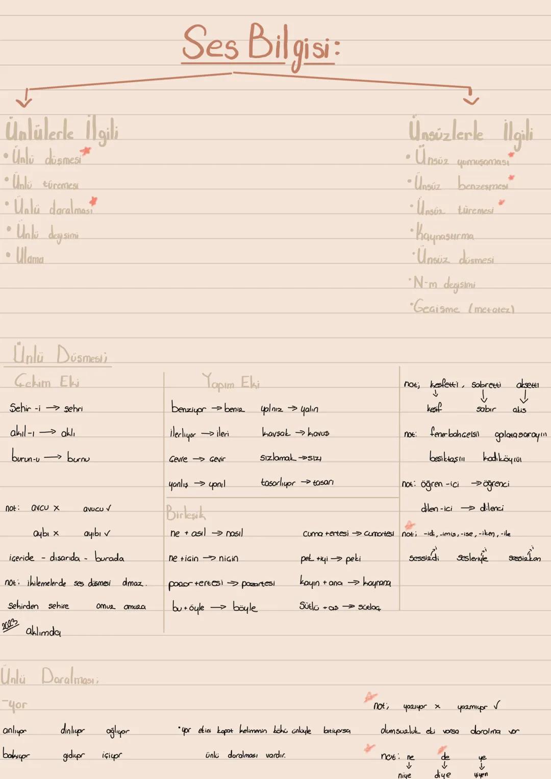 ↓
Ünlülerle İlgili
• Ünlü düşmesi
•Unlu türemesi
Valú daralmas
• Unlü deysimi
• Ulama
Ses Bilgisi:
Ünsüzlerle İlgili
• Ünsüz yumuşaması
Ün