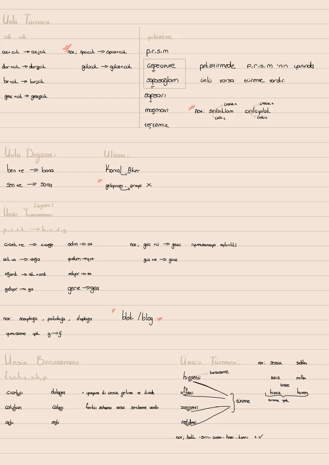 ↓
Ünlülerle İlgili
• Ünlü düşmesi
•Unlu türemesi
Valú daralmas
• Unlü deysimi
• Ulama
Ses Bilgisi:
Ünsüzlerle İlgili
• Ünsüz yumuşaması
Ün