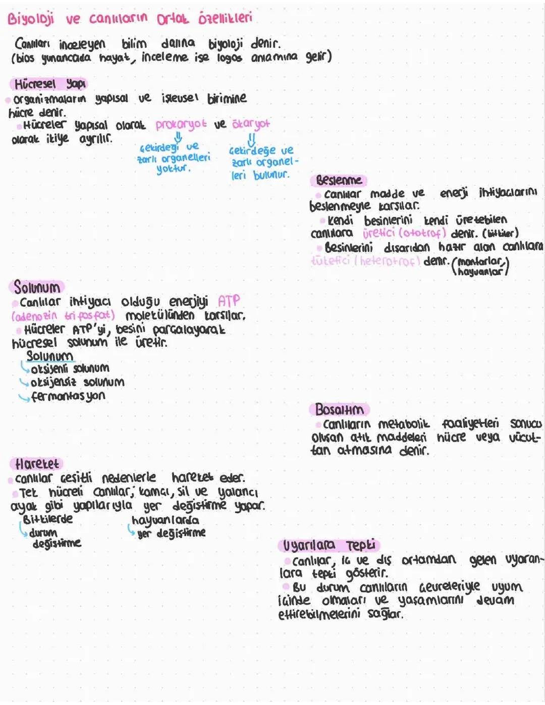 Biyoloji ve Canlıların Ortak Özellikleri