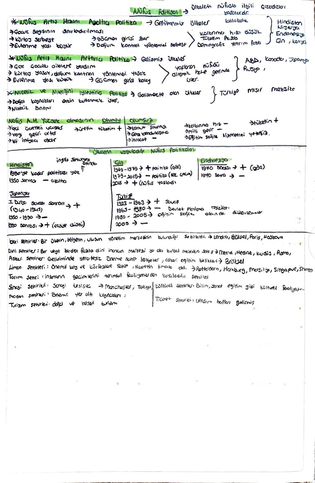 Nüfus politikaları