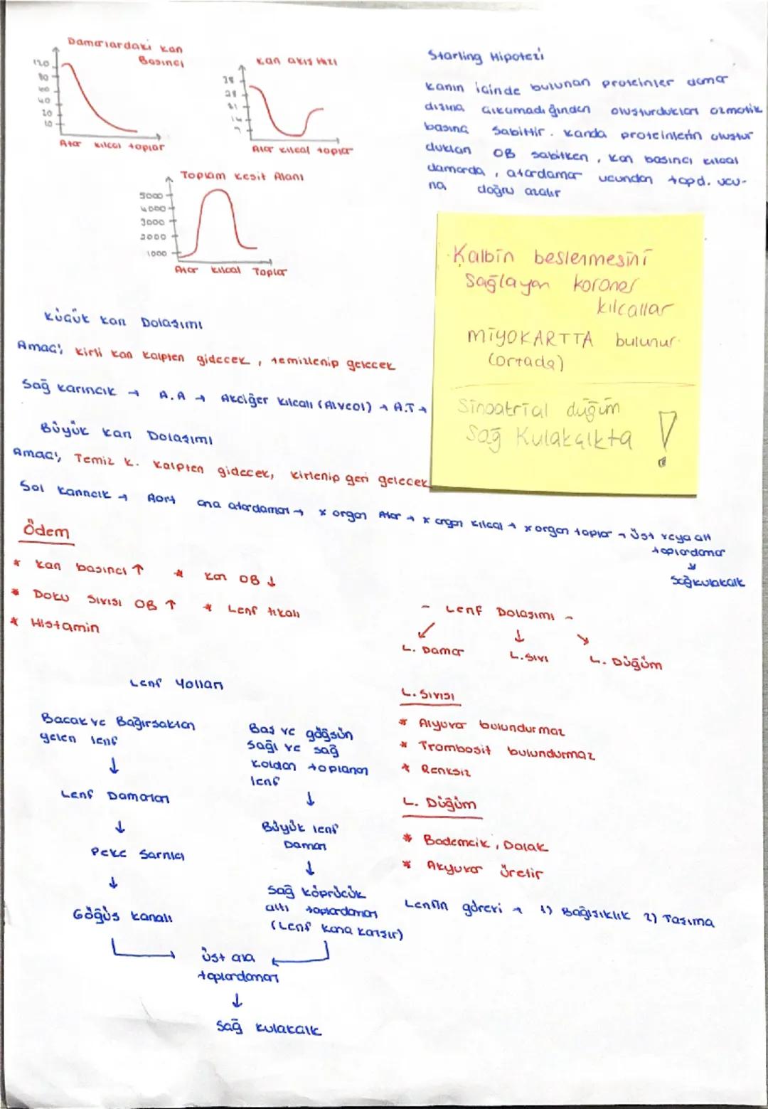#
Akciğer
topsrdemes
Bos
usi Anat
toplandama
Aort
→
καρακάικ
T
50
Akciğer
Akurdomen
Akciğer tapa damar
SOI KULAKGIK
κιτί καρακσIK
kalbin To
