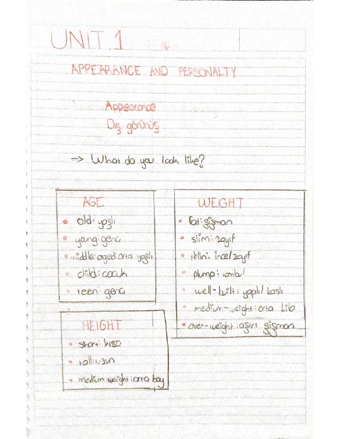 İngilizce appearance ( dış görünüş ) kelime anlamları