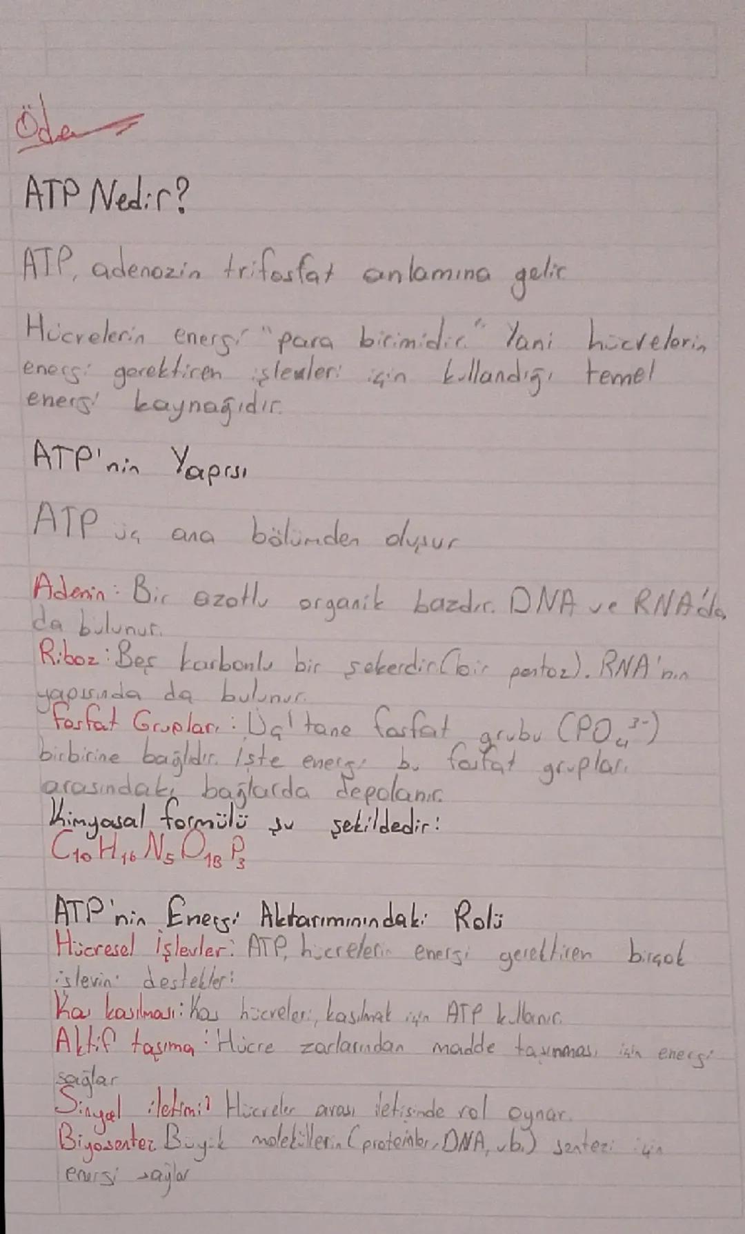 10. Sınıf BİYOLOJİ ders notu