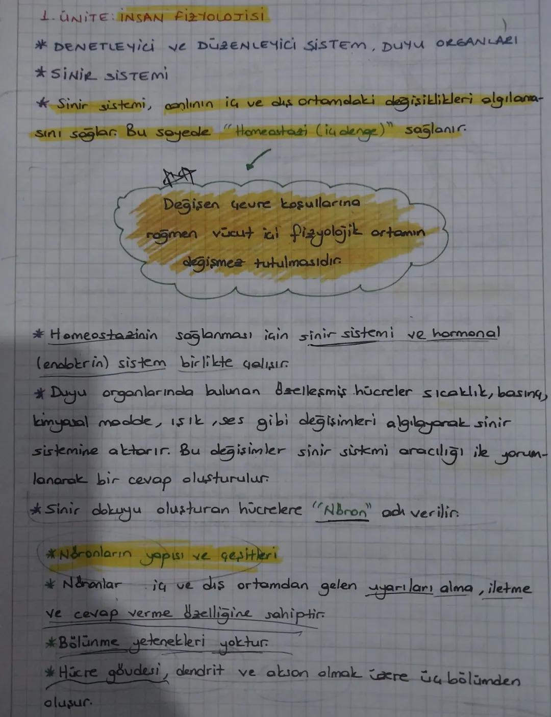 1. UNITE: INSAN FİZYOLOJİSİ
* DENETLEYici ve DÜZENLEYİCİ SİSTEM, DUYU ORGANLARI
*SINIR SISTEMI
Sinir sistemi, canlının iç ve diş ortamdaki d