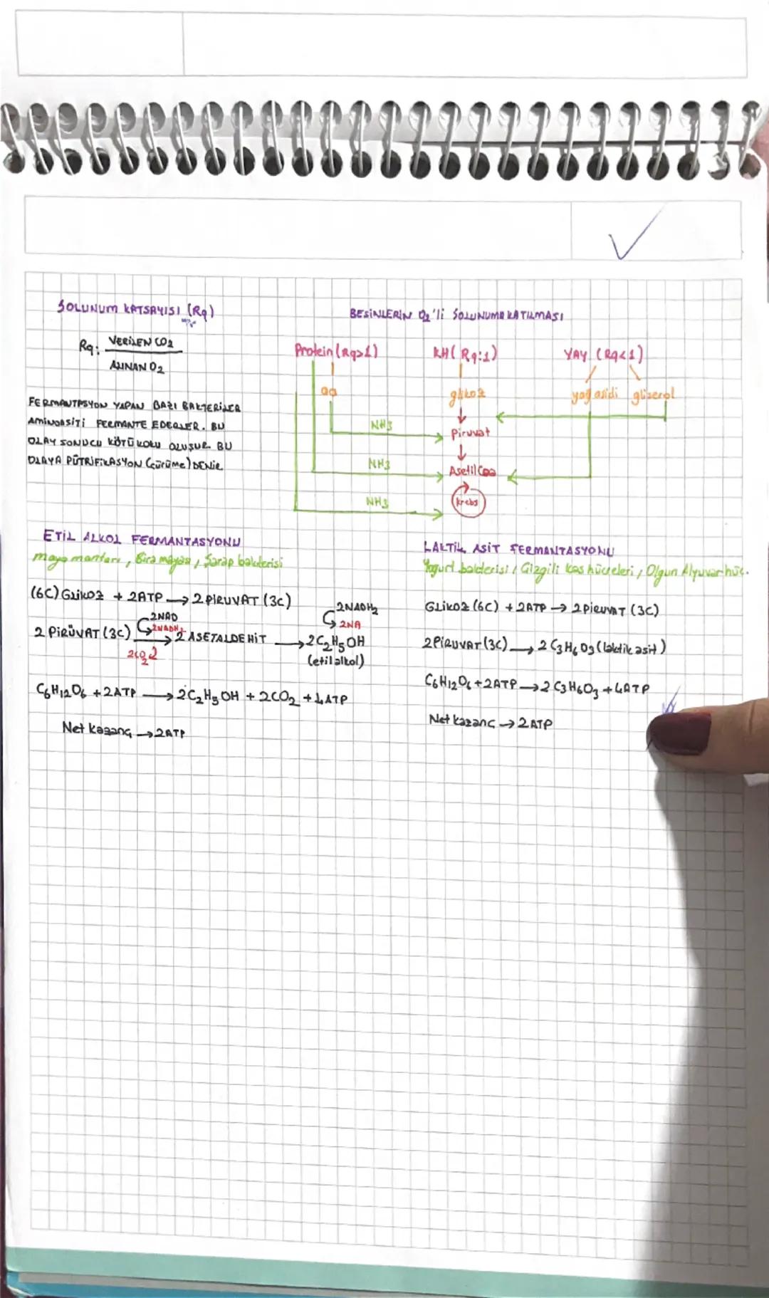 SBB
SOLUNUM
O'li SOLUNUM
Org, Besin Or CO,+H2O+NHg+ATP
(N)
TS ELEMANLARI KULLANIR
La Prokaryotlarda mesosom
Lokaryotlarda mitokondri (LISTA)