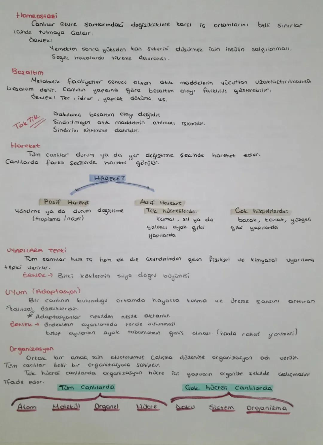 Canlılarla ilgili diğer ortak özelikler
okaryother da ortak
(prokaryot ve
bulunan elemanior)
Hücre zari
Atp
Sitoplazma
erbozom
Enzim
ONA-RNA