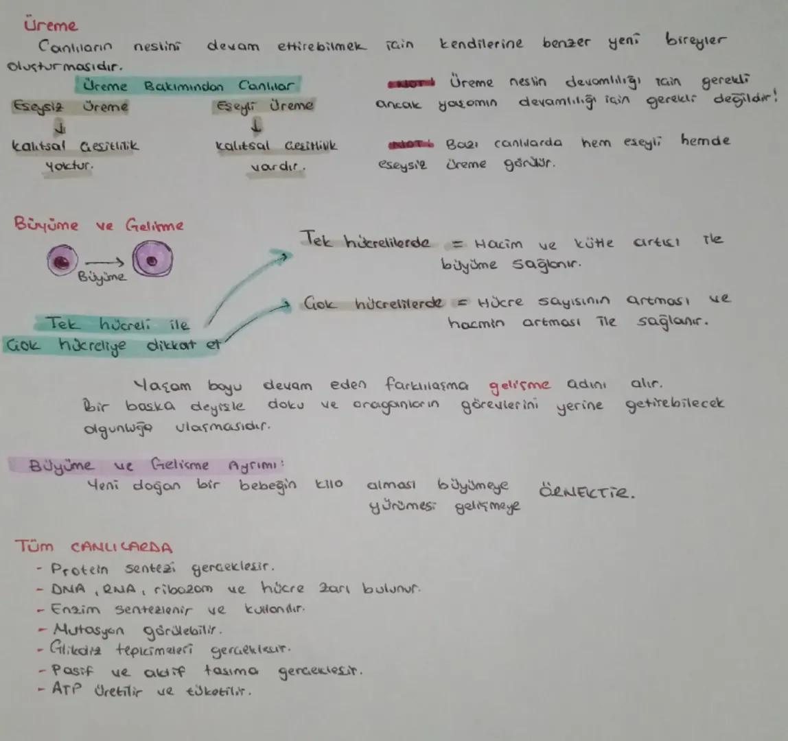 Canlılarla ilgili diğer ortak özelikler
okaryother da ortak
(prokaryot ve
bulunan elemanior)
Hücre zari
Atp
Sitoplazma
erbozom
Enzim
ONA-RNA