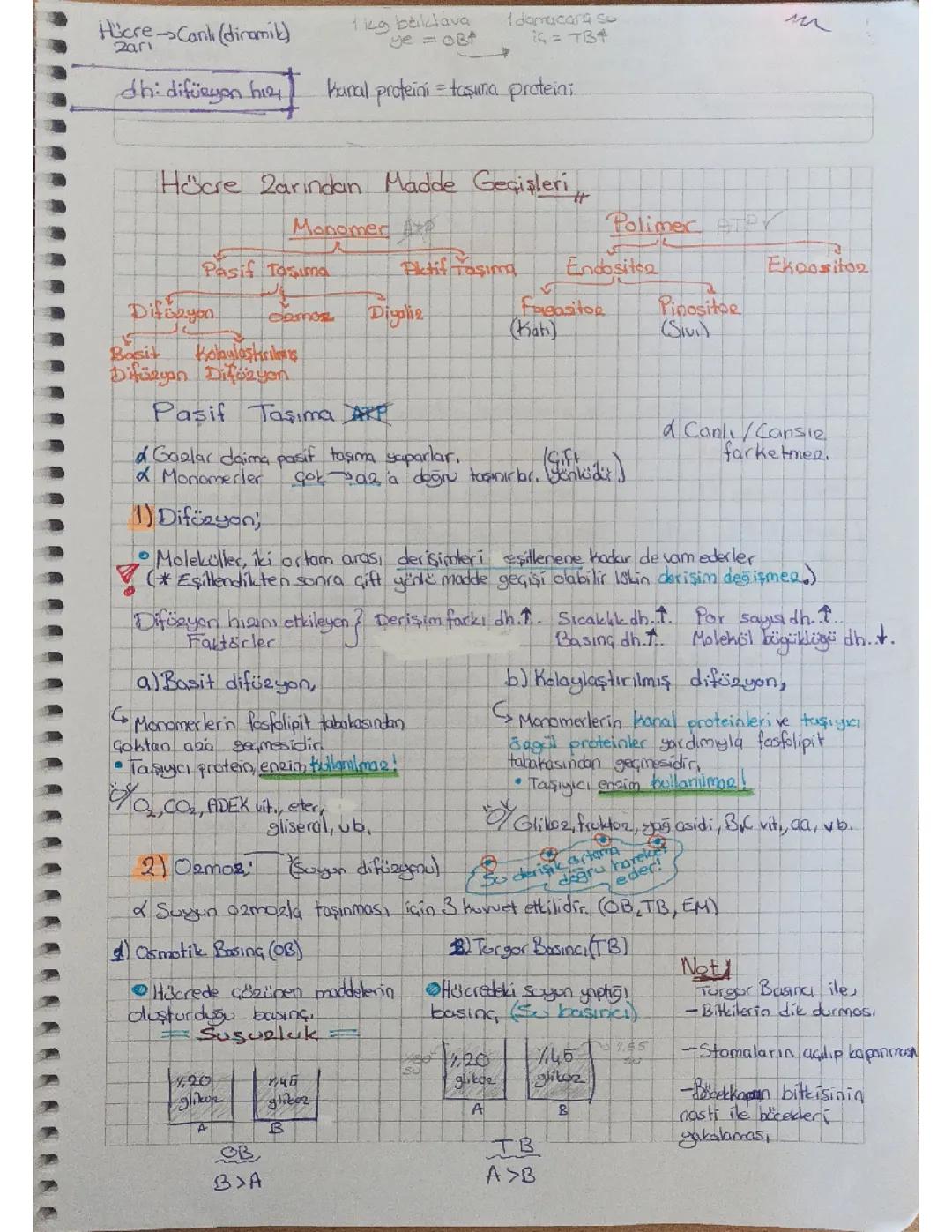 Hücre zarından madde geçişleri ders notu