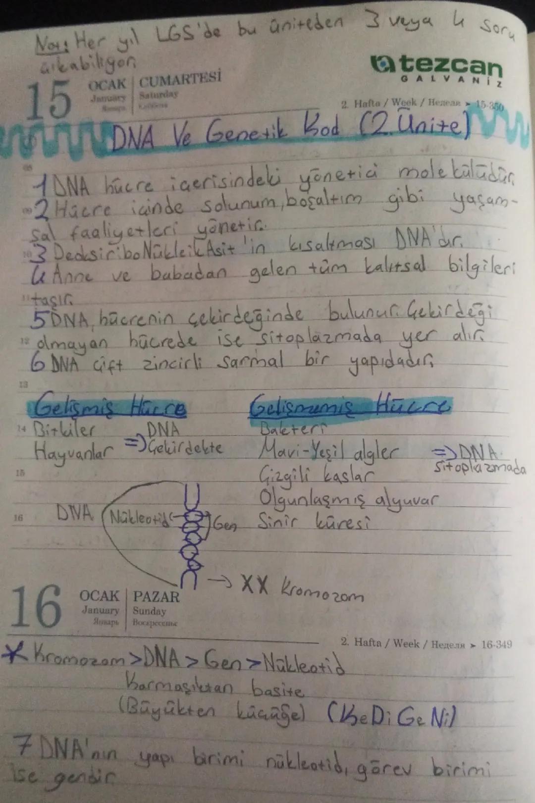 8. Sınıf fen bilimleri