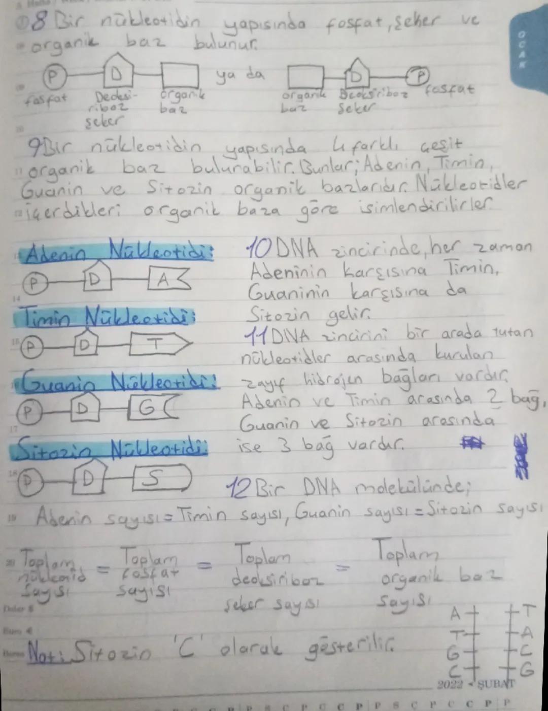 Nous Her yil LGS'de bu üniteden 3 veya 4 Soru
aikabiligon
15
13
15
OCAK CUMARTESİ
January Saturday
tezcan
GALVANiz
2. Hafta / Week / Неделя