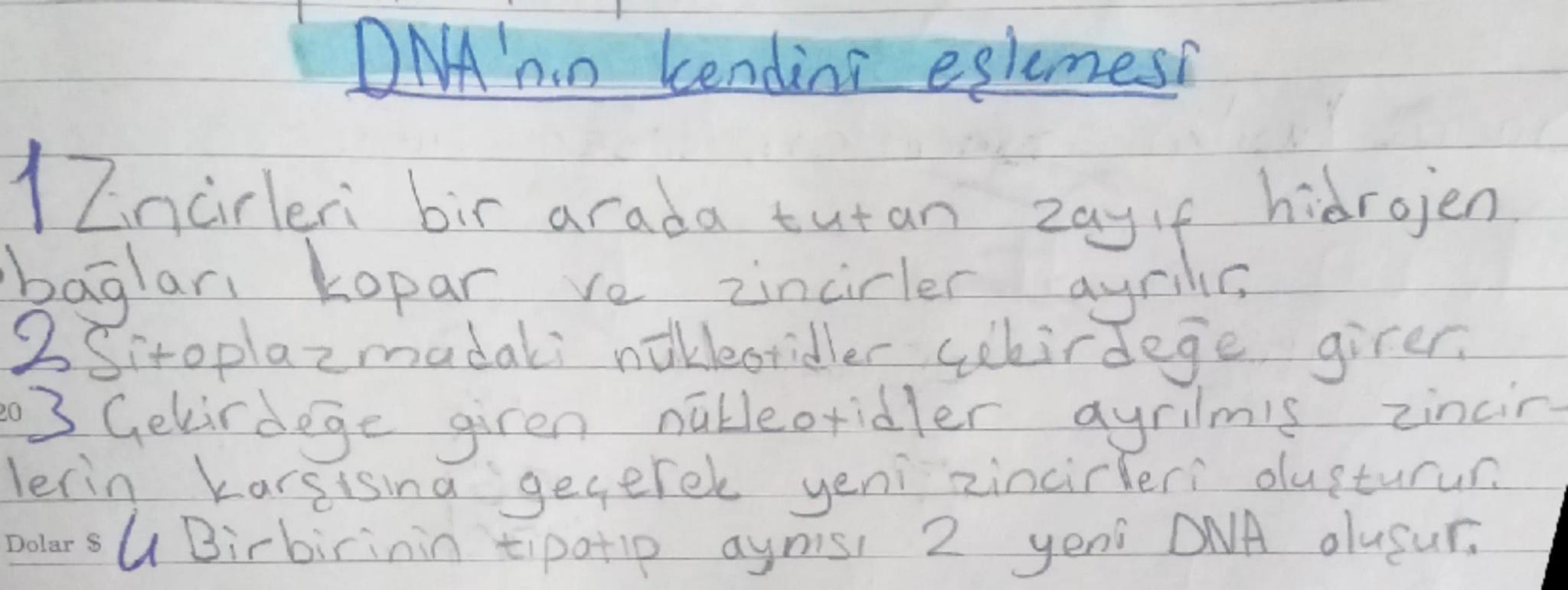 Nous Her yil LGS'de bu üniteden 3 veya 4 Soru
aikabiligon
15
13
15
OCAK CUMARTESİ
January Saturday
tezcan
GALVANiz
2. Hafta / Week / Неделя