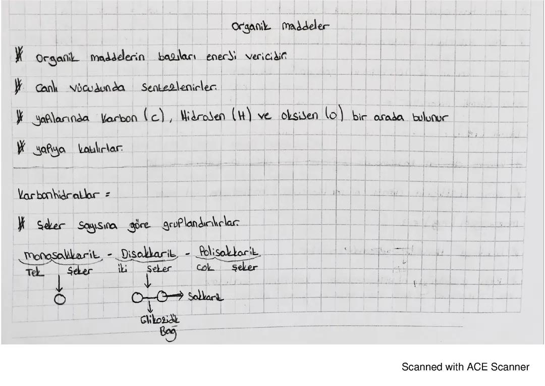 9. Sınıf Biyoloji Ders Notları: Organik Bileşikler ve Monosakkaritler Özeti PDF