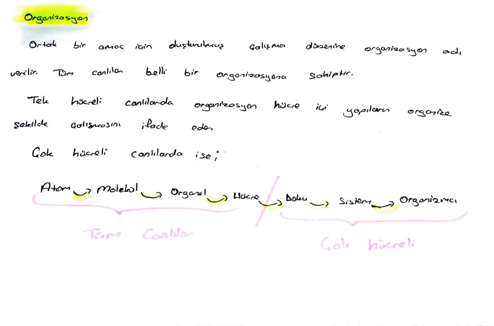 Beslenme
| Gok
hücrelidik
Canlılar, madde
ve
energi ihtiyaçlarını
karşılamak için
beslenmek zorundadır.
Beslenme Bakmından
Canlıla
Ototrof
(