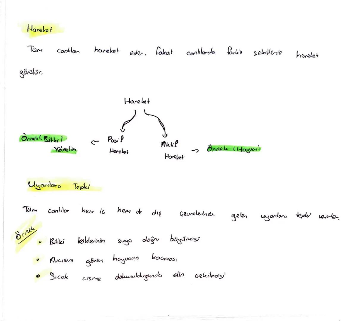 Beslenme
| Gok
hücrelidik
Canlılar, madde
ve
energi ihtiyaçlarını
karşılamak için
beslenmek zorundadır.
Beslenme Bakmından
Canlıla
Ototrof
(