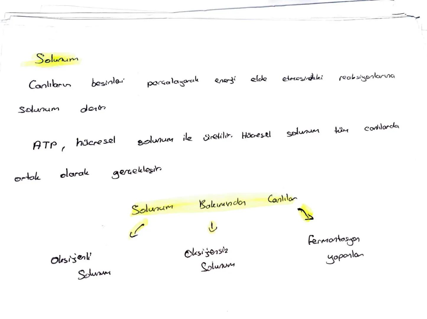 Beslenme
| Gok
hücrelidik
Canlılar, madde
ve
energi ihtiyaçlarını
karşılamak için
beslenmek zorundadır.
Beslenme Bakmından
Canlıla
Ototrof
(