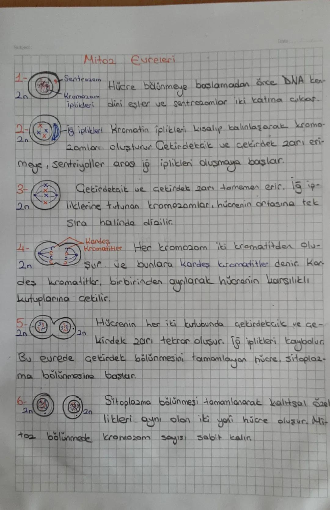 Hubject
Mito2 Eureleri
Dat
1-
Sentrozom
20
Hücre bölünmeye başlamadan önce DNA ken-
Kromozom
iplikleri dini eşler ve sentrozomlar iki