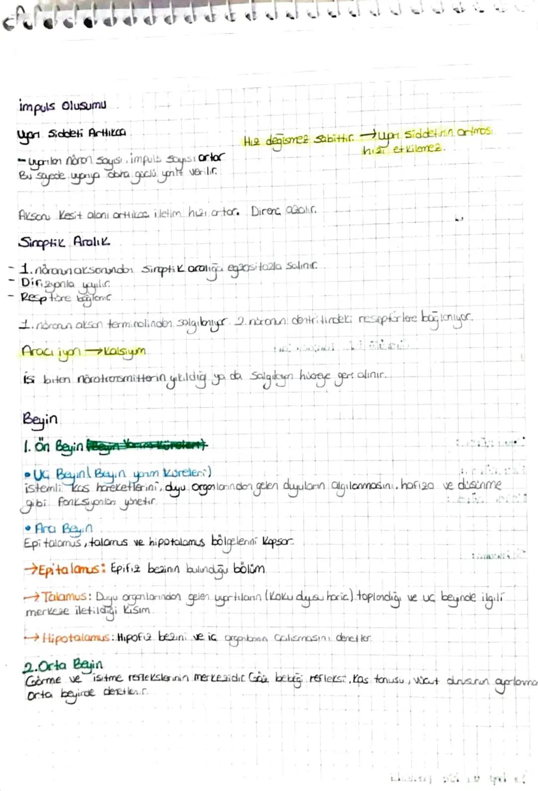 - SİNİR SİSTEMİ -
Nöron
boğum
Gövde Rou
Akson
miyein
Gelardec
dentrit.
Nissi Cisimcizleri
Granüllü ER. Parçacık larm
Nårofibriller hücrge