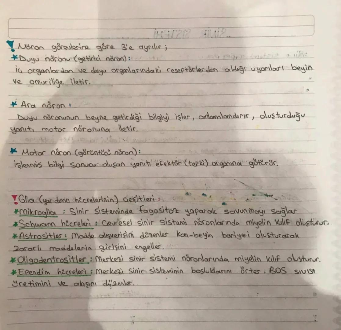 SINIR SISTEMI
Sinir sistemi yapısı!
•Canlının dış cevre ve organizma arasındaki ilişkisini sağlayan sistemdir.
•Sinir sistemini oluşturan te