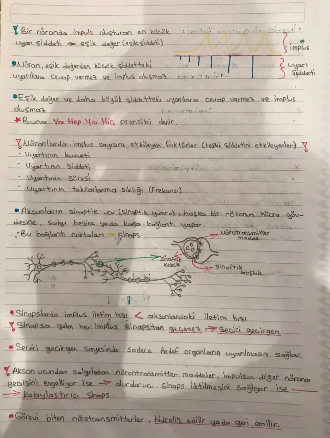 SINIR SISTEMI
Sinir sistemi yapısı!
•Canlının dış cevre ve organizma arasındaki ilişkisini sağlayan sistemdir.
•Sinir sistemini oluşturan te