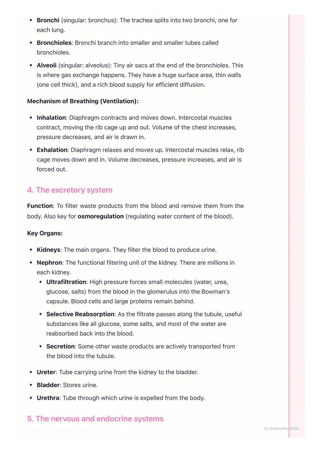 # Human Body Systems
Introduction to human body systems
The human body is organised in a hierarchy: cells $\rightarrow$ tissues $\rightarr