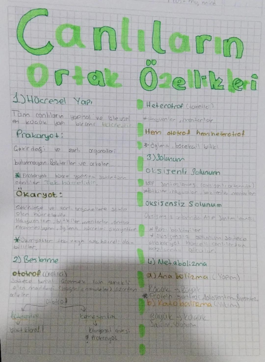 Bydosi
Aksenseddia Hastalık etmenlerinin
bulasma
yollarn
mikroorganismalarla gorces lestigiain kesifi
Robert Hooke: Mikcorkobun
Mandel
kesif