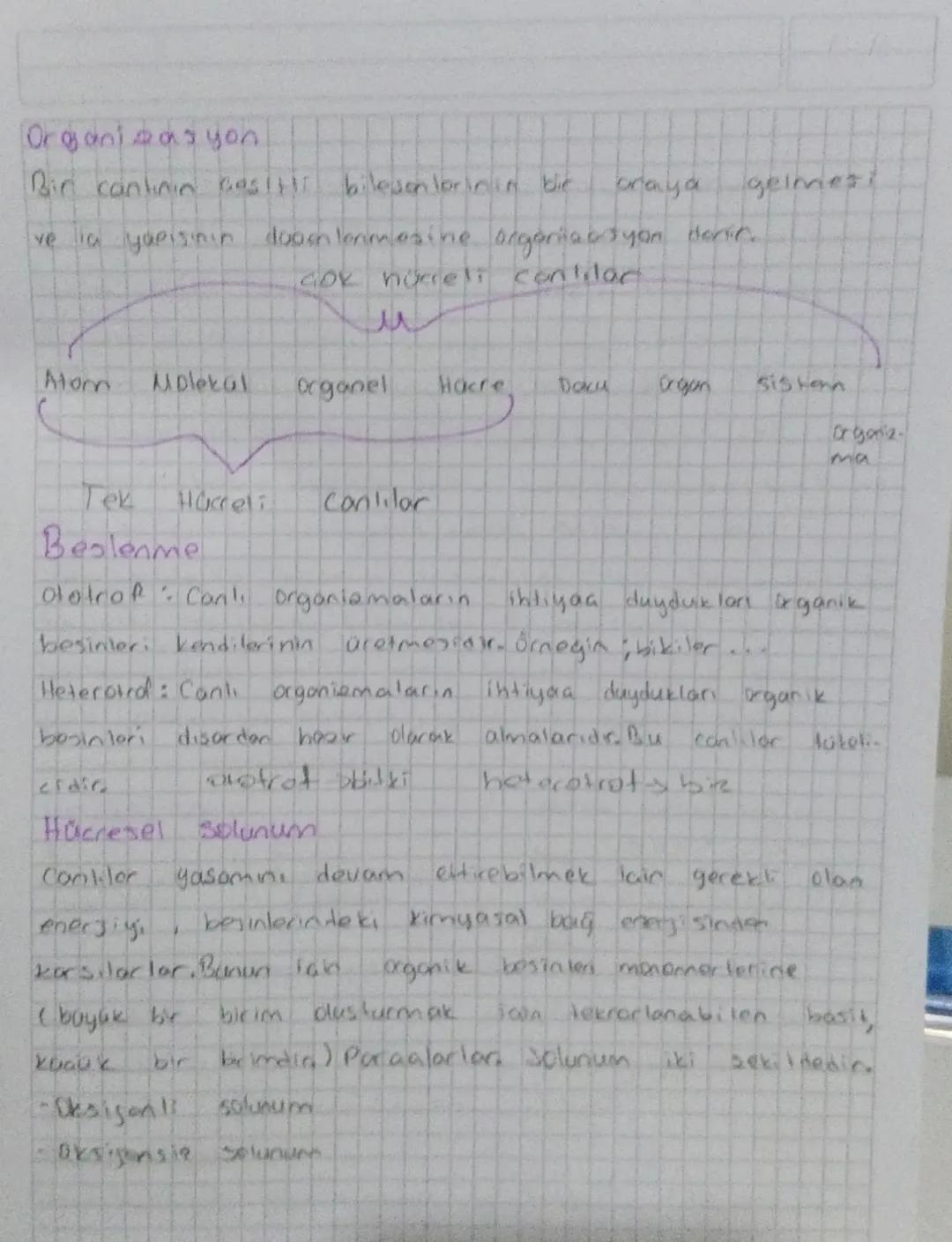 Bydosi
Aksenseddia Hastalık etmenlerinin
bulasma
yollarn
mikroorganismalarla gorces lestigiain kesifi
Robert Hooke: Mikcorkobun
Mandel
kesif