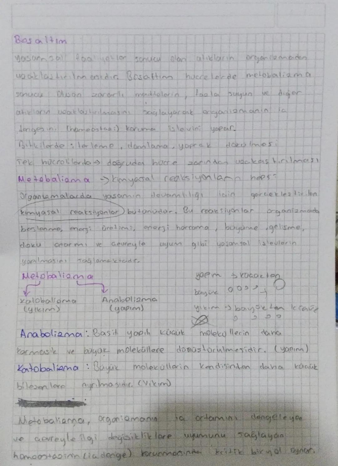 Bydosi
Aksenseddia Hastalık etmenlerinin
bulasma
yollarn
mikroorganismalarla gorces lestigiain kesifi
Robert Hooke: Mikcorkobun
Mandel
kesif