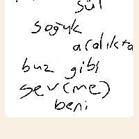 user profile picture