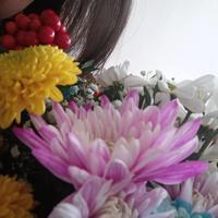 user profile picture