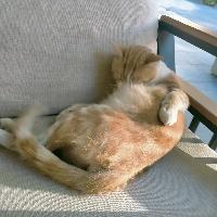 user profile picture