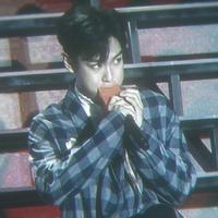 user profile picture